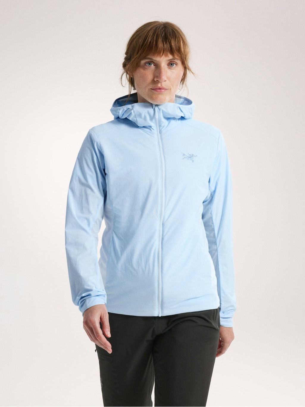 Nwt Arcteryx Atom Sl Hoody